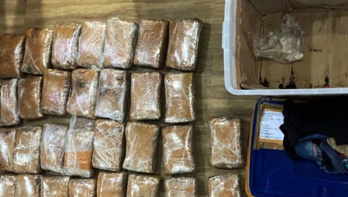 Polisi Ciduk Seorang Pria yang Bawa 7 kg Ganja di Jakarta Barat