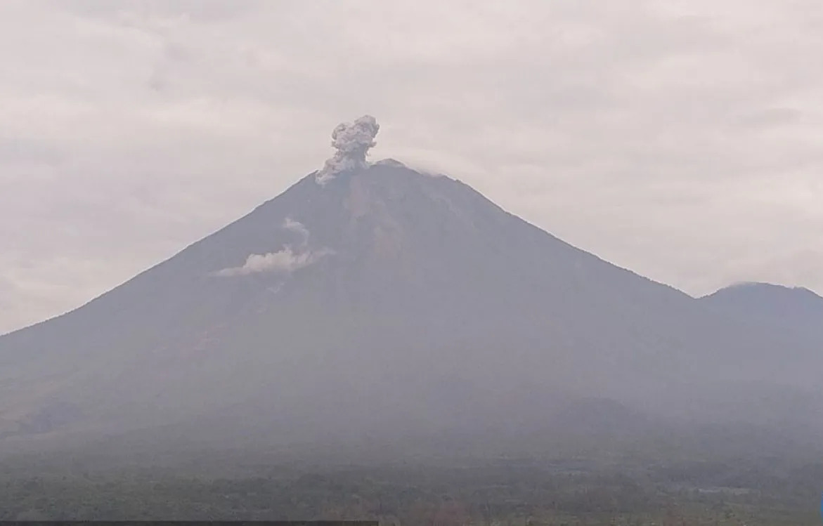 Gunung Semeru Meletus 4 Kali dalam Semalam! Kolom Abu Capai 800 Meter, Warga Diminta Waspada!