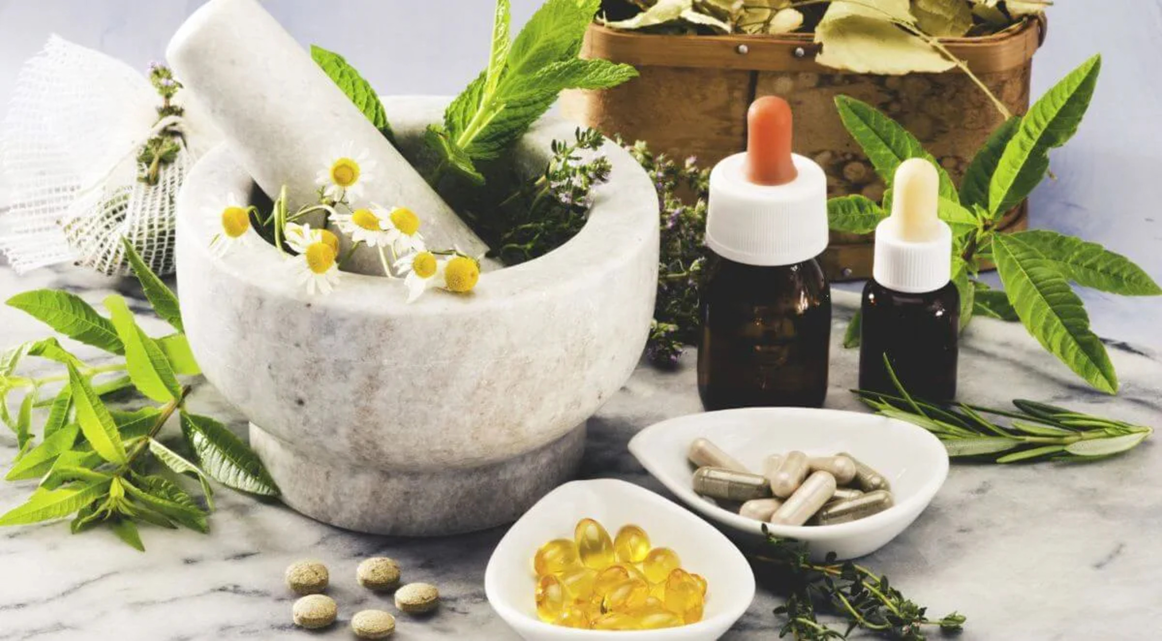 Heboh! Kemenkes Dorong Obat Herbal Jadi Solusi Utama Kesehatan Nasional, Ternyata Ini Alasannya