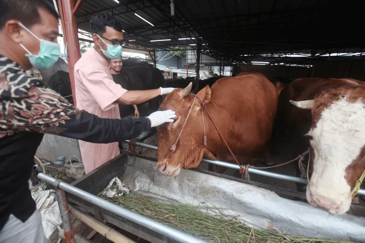 Menjelang Idul Adha 2025, Ini Cara Tepat Membagi Daging Kurban Sesuai Syariat Islam