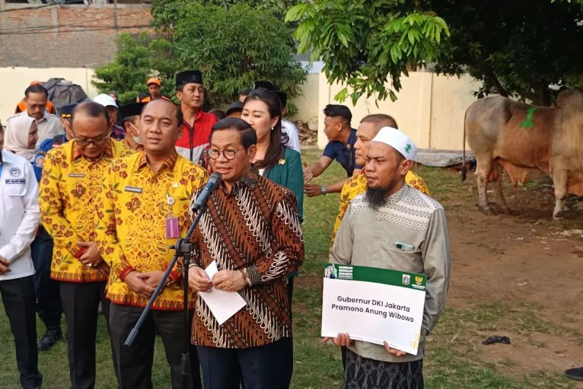 Gubernur Pramono Pilih Tambora untuk Kurban, Ternyata Ini Alasannya