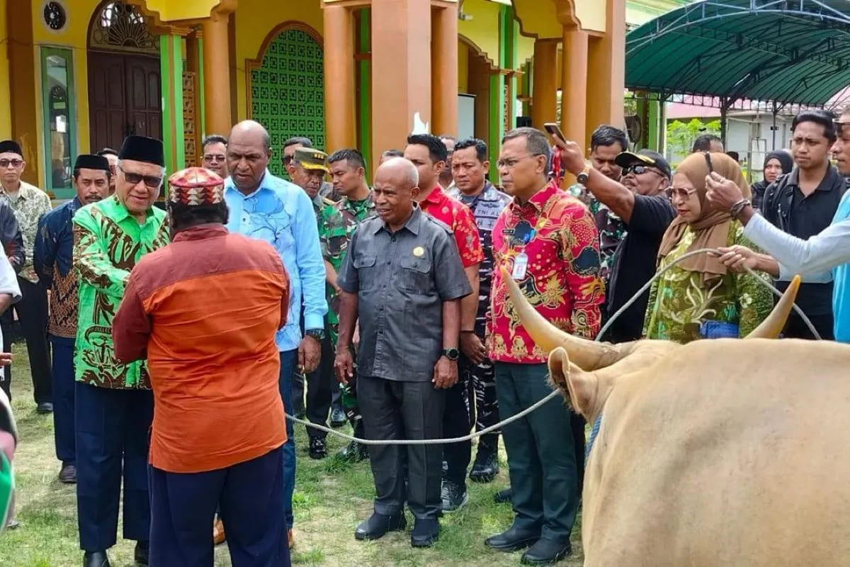 Presiden Prabowo Subianto Kirim Lima Ekor Sapi Kurban ke Papua Barat, Tradisi yang Terus Berlanjut