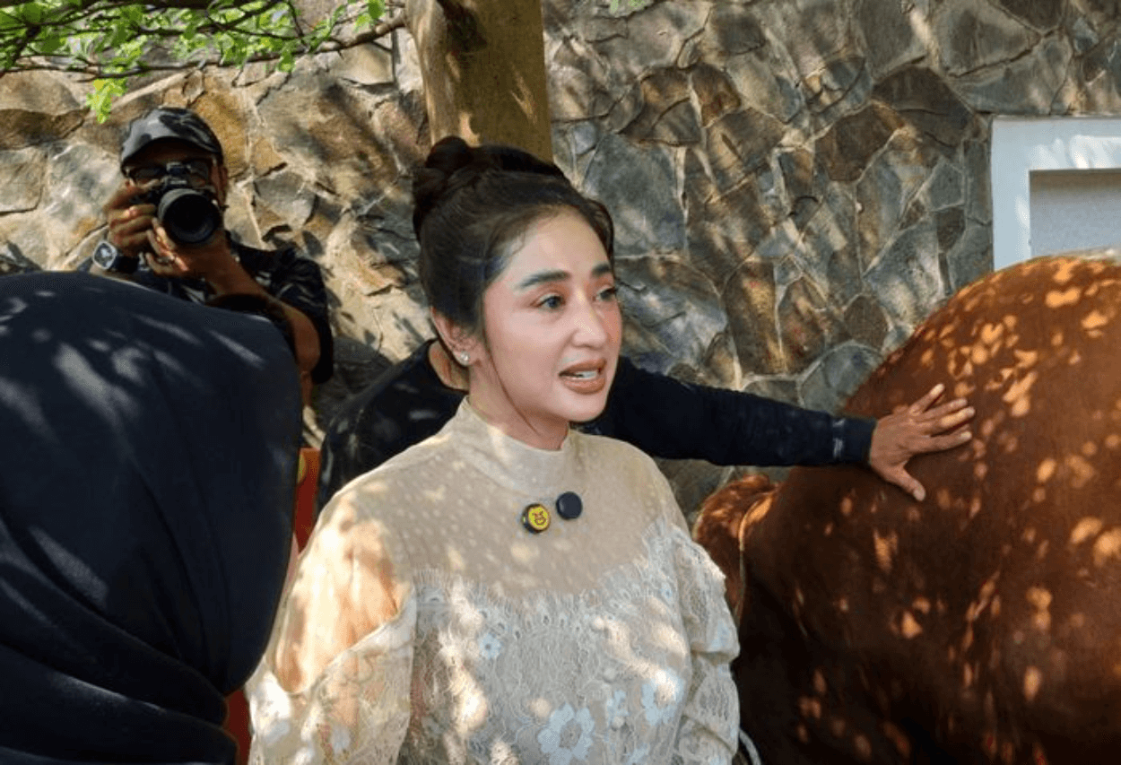 Dewi Perssik Kurban 17 Sapi Sekaligus: 