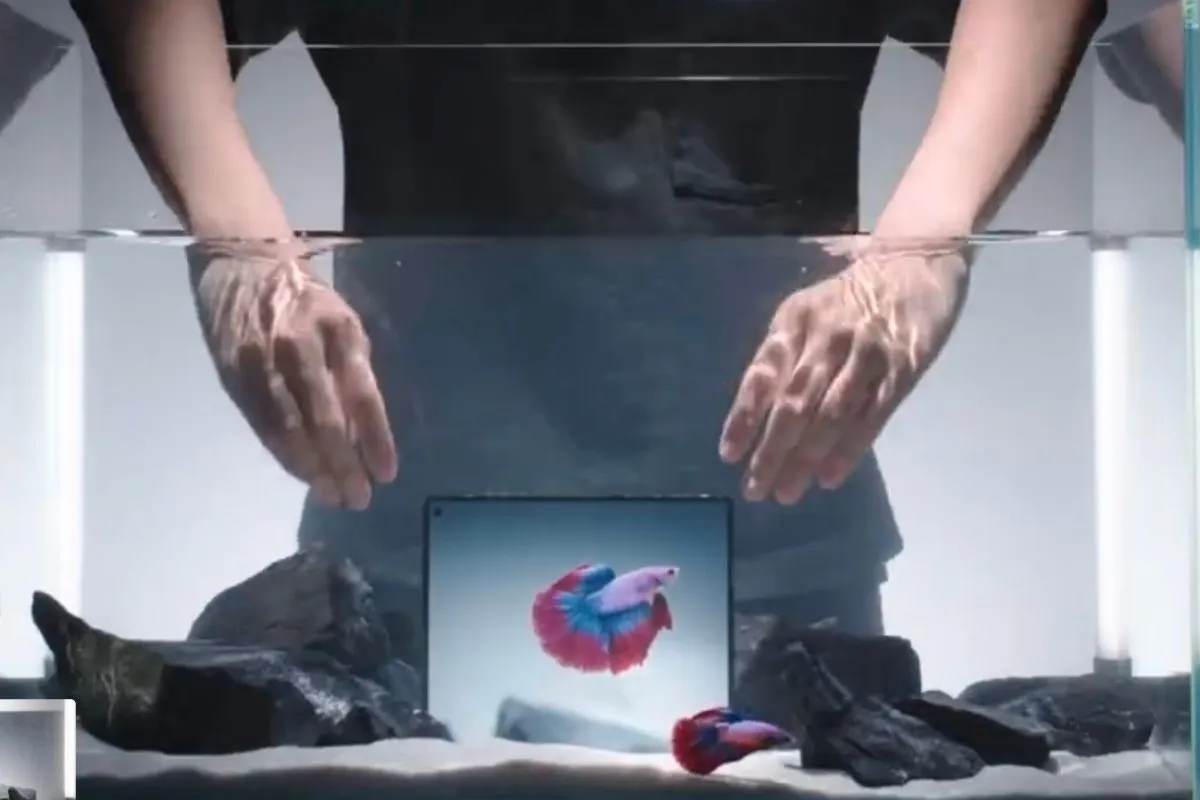 Vivo X Fold 5 Resmi Diperkenalkan! Ponsel Lipat Pertama yang Tahan Air, Debu, dan Bisa Dilipat di Dalam Air! Vivo X Fold 5 Resmi Diperkenalkan! Ponsel Lipat Pertama yang Tahan Air, Debu, dan Bisa Dilipat di Dalam Air!