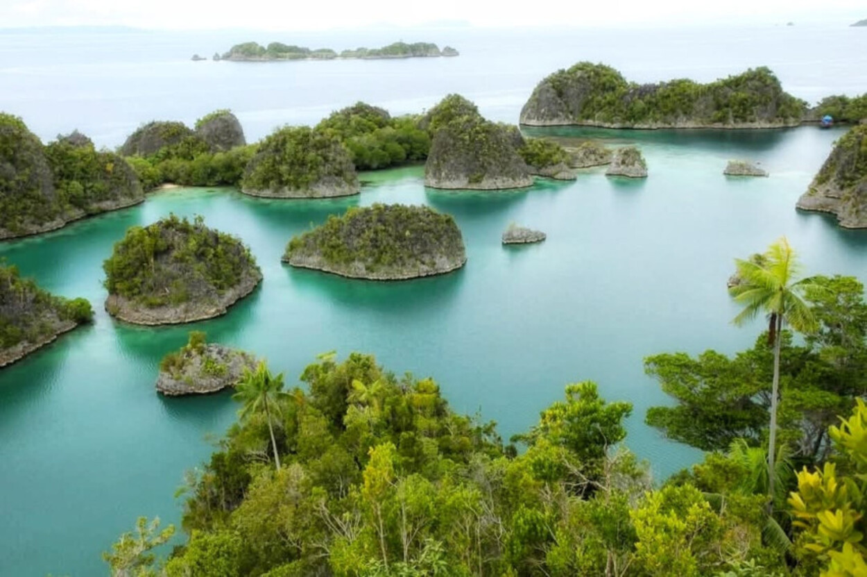 Kementerian Lingkungan Hidup Lagi Menyoroti Salah Satu PT Gara-gara Pencemaran di Raja Ampat