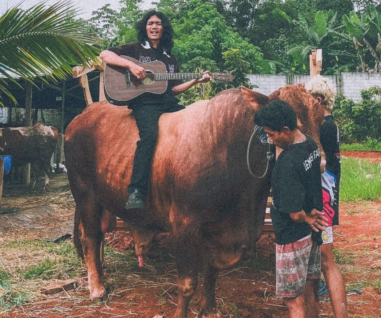 Musisi Folk AMIS Sindir Penguasa Lewat MV "Local Wisdumb", Naik Sapi Bukan Gimik Biasa