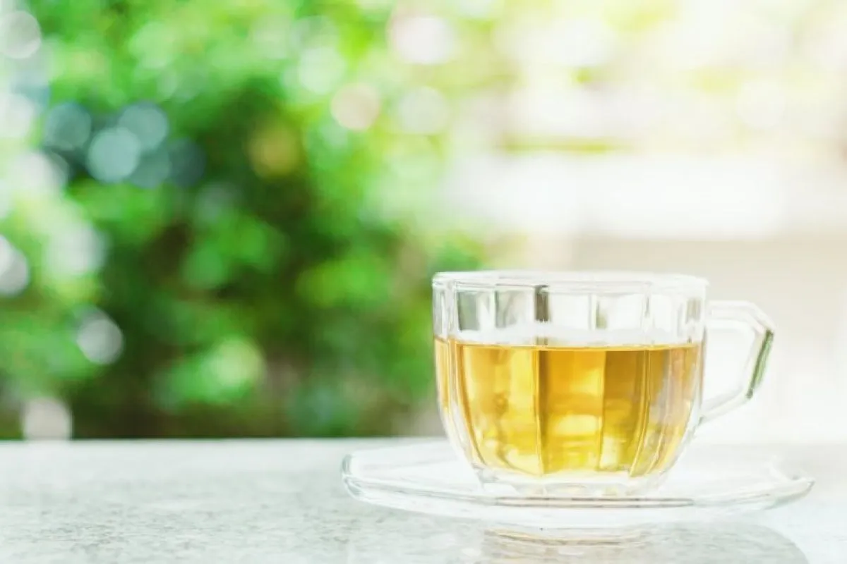 Tips Minum Teh Hijau yang Benar, Bisa Dapat Manfaat Maksimal