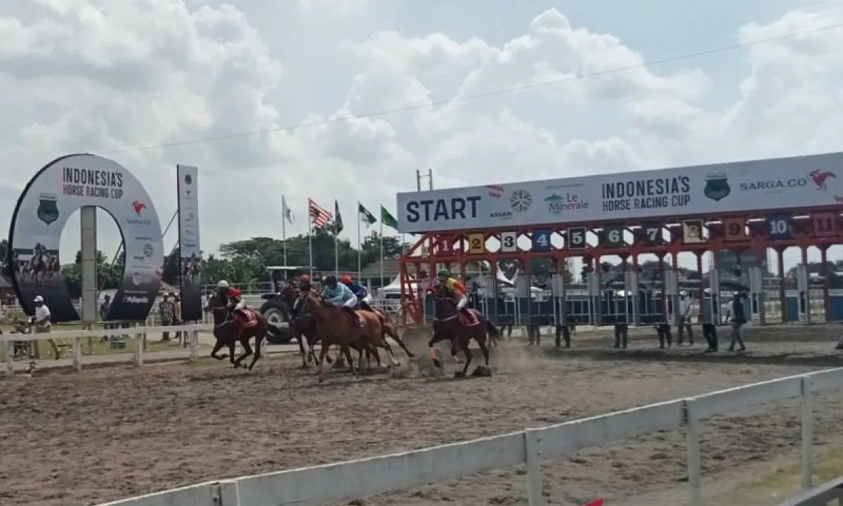 131 Kuda Dari Seluruh Indonesia Bertanding di IHR Cup 2025 di Bantul