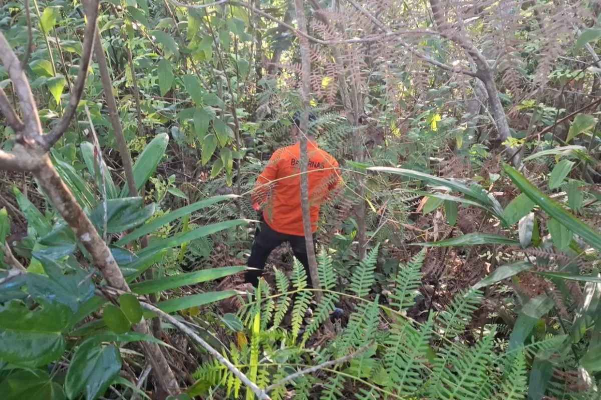 Misterius! Pria 60 Tahun Hilang di Hutan Angker IKN, Tim SAR Dikerahkan!