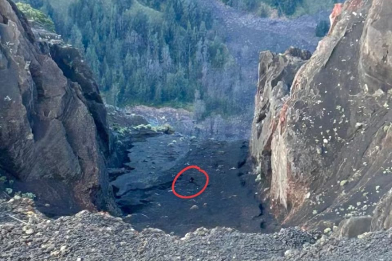 Detik-Detik Evakuasi Juliana Marins, Pendaki Brasil yang Jatuh di Gunung Rinjani
