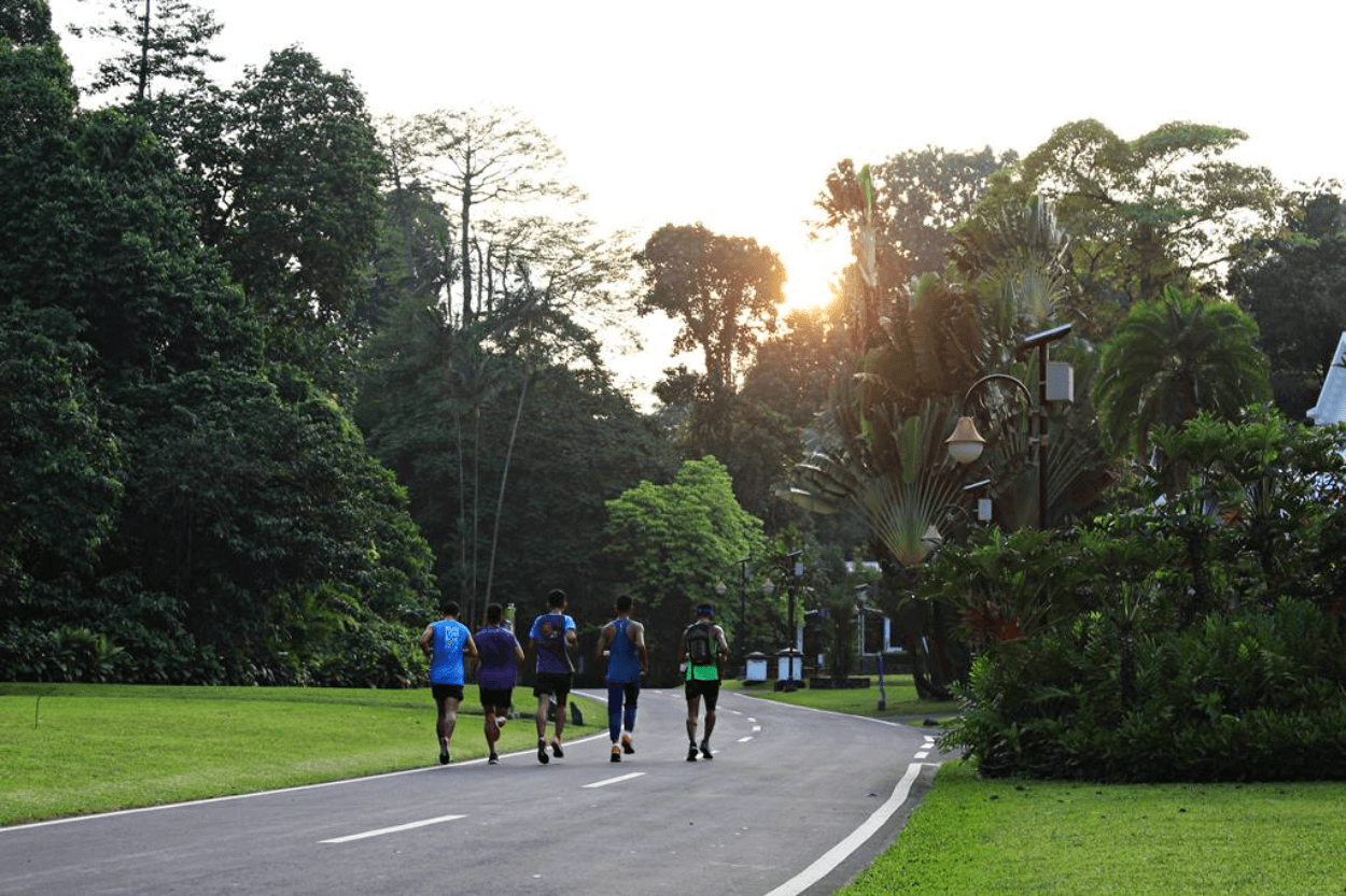 Sehat di Tempat Asri: 7 Trek Lari Favorit di Bogor yang Bikin Betah Olahraga