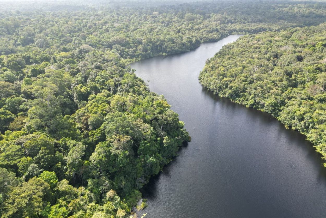 Google Maps Hutan Amazon Diserbu Rating Bintang 1 oleh Netizen Indonesia Gegara Ini