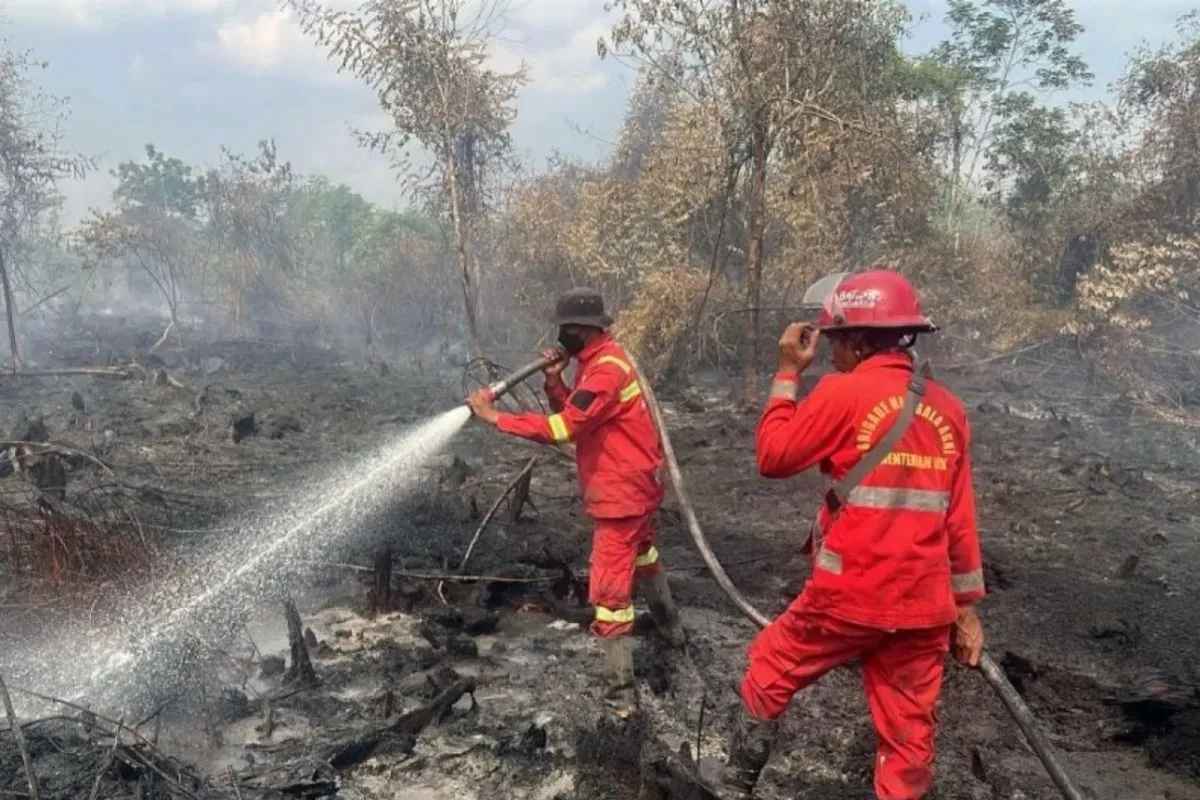 Karhutla Riau Makin Menggila! Lahan Gambut Terbakar Hingga Kedalaman 1 Meter, Polisi Selidiki Unsur Kesengajaan
