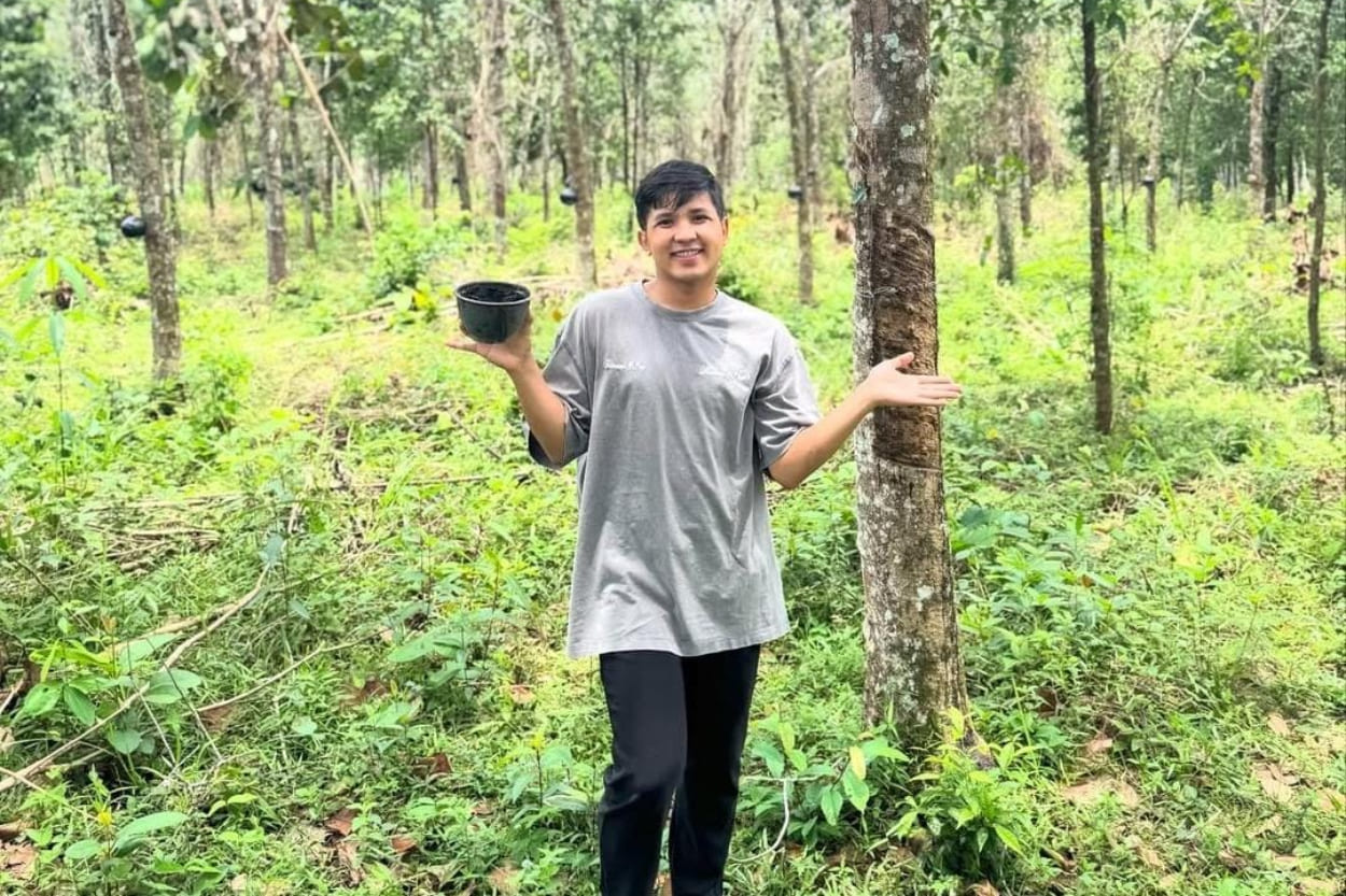 Intip Harga Kebun Karet Jirayut di Thailand, Bikin Penasaran!