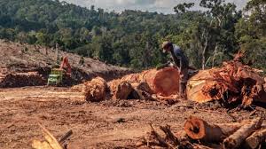 Beralih ke Energi Hijau, Hentikan Pembiayaan Proyek Perusak LIngkungan