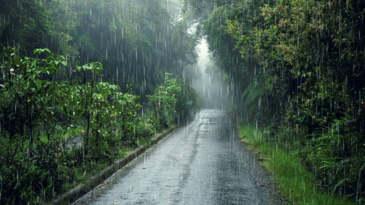 Cuaca Tak Menentu Mulai Terjadi, Waspadai Musim Pancaroba April 2025