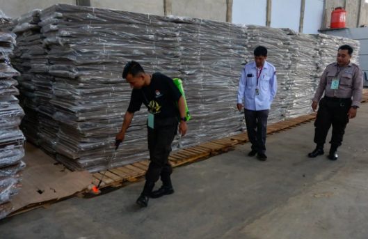 Jangan Nunggu Rumah Jebol! Ini Cara Gampang & Aman Usir Rayap Tanpa Bahan Kimia