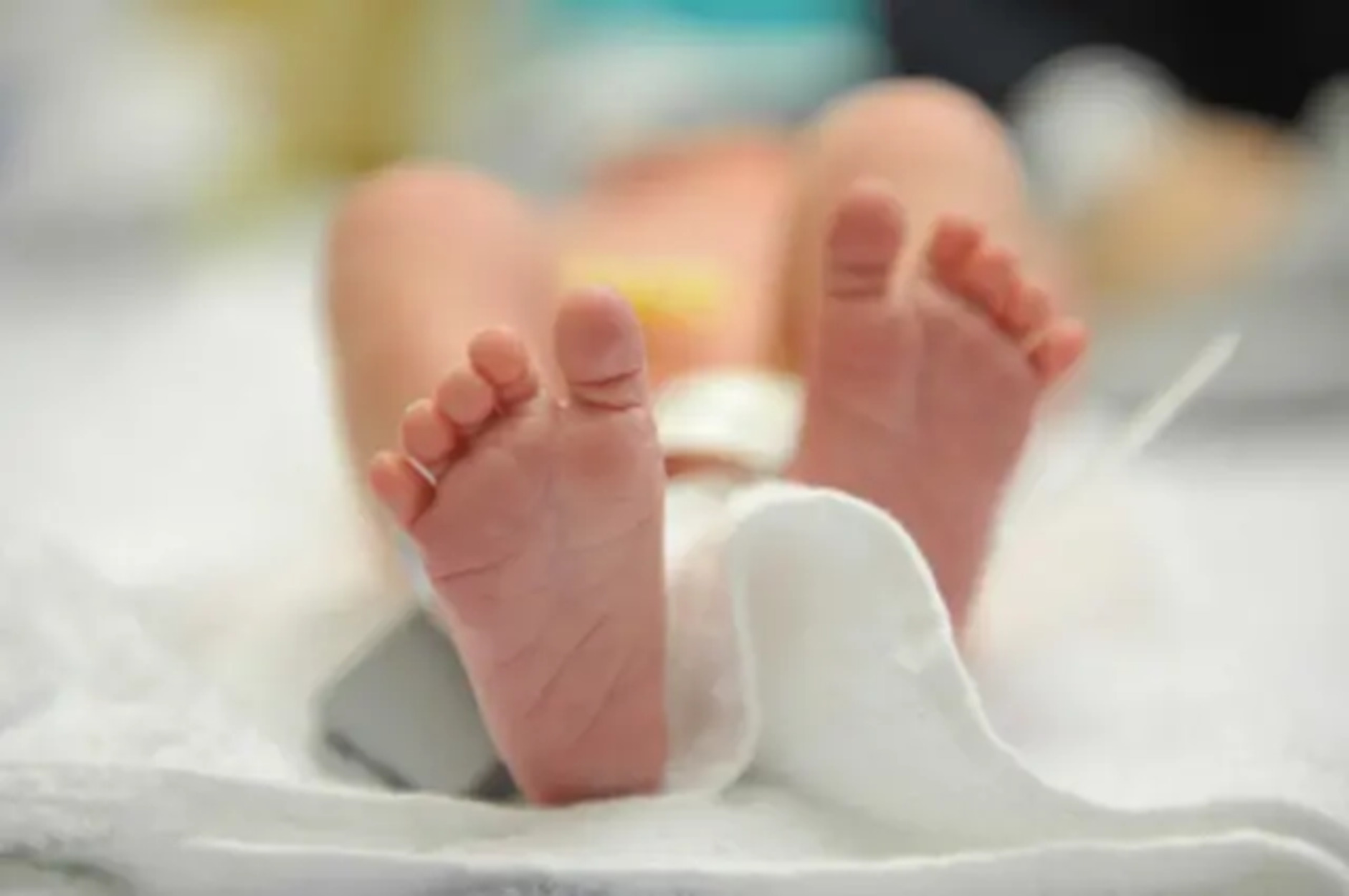Geger! Bayi Perempuan Ditemukan Tak Bernyawa di Tempat Sampah Kebon Jeruk