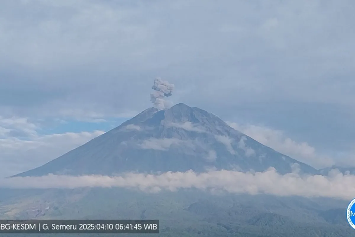 Gunung Semeru Kembali Erupsi! 5 Kali Letusan di Pagi Hari, Simak Update Terbarunya