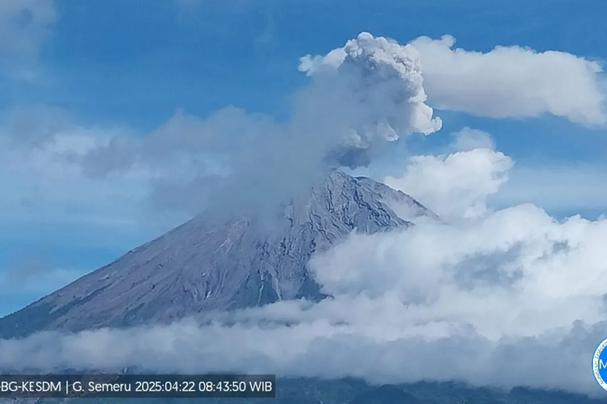 Gunung Semeru Kembali Erupsi, Status Waspada Ditetapkan