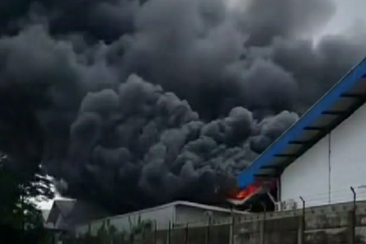 Karawang Gempar! Pabrik Stirofoam Ludes Terbakar, Api Menggila Hingga Sulit Dipadamkan