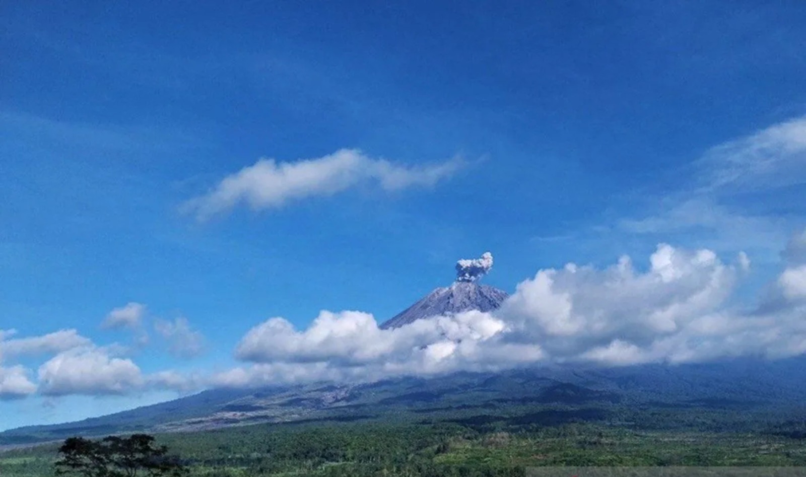 Semeru Erupsi Bertubi-tubi, Warga Diminta Jauhi Zona Bahaya