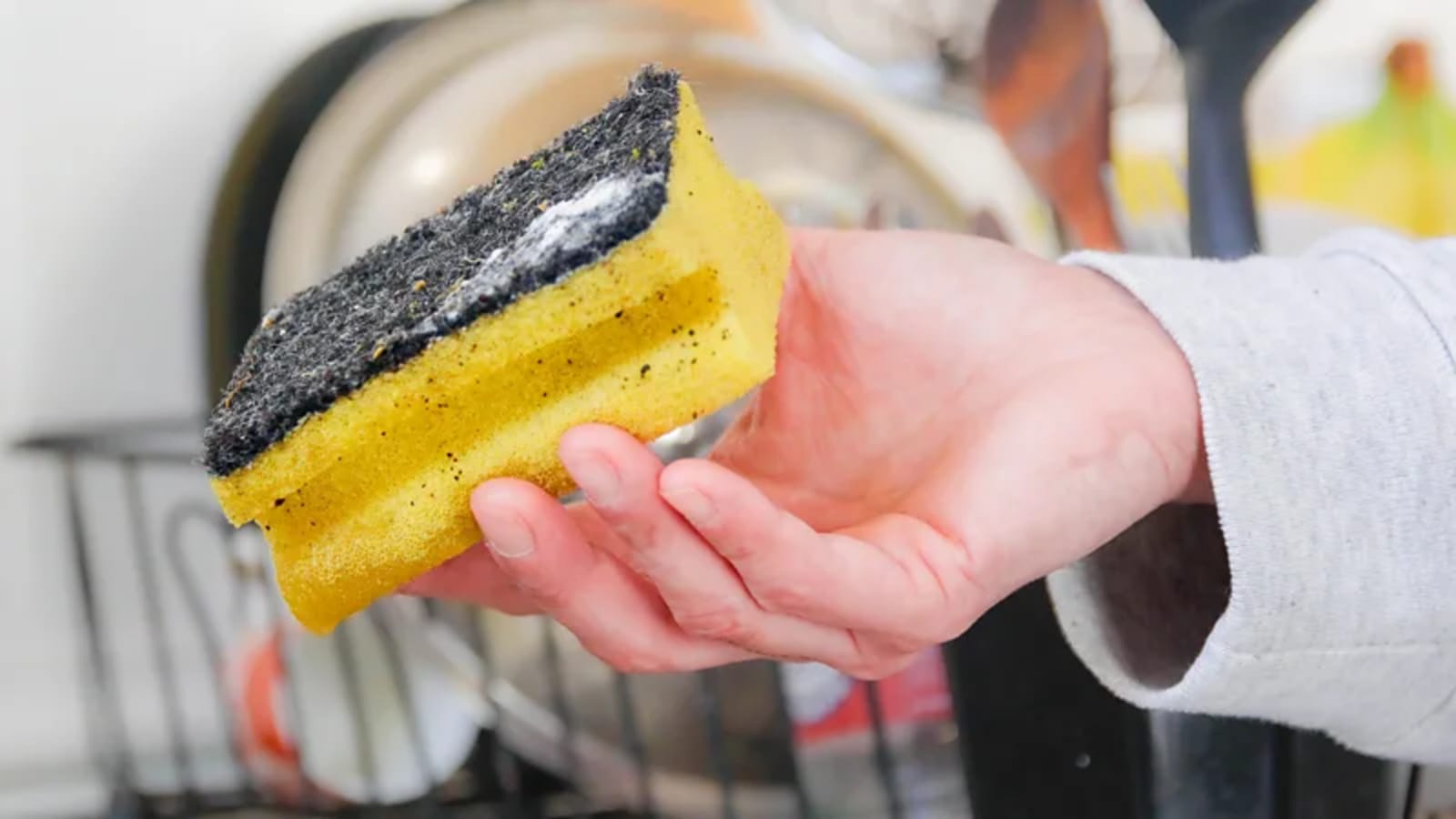 Spons Dapur Sarang Bakteri, Haruskah Kita Beralih ke Sikat?