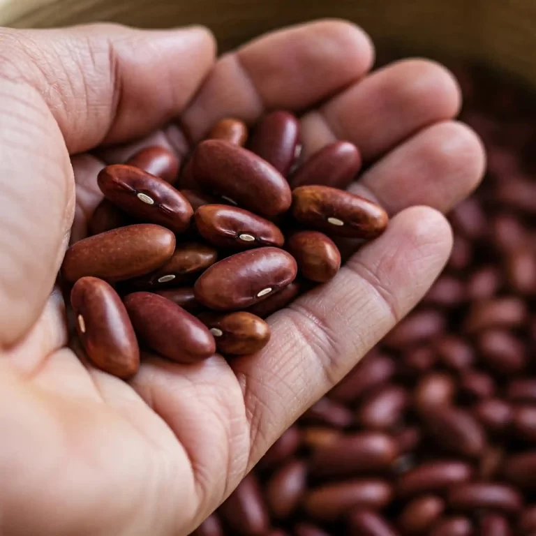 How to Grow Kidney Beans: Simple Steps for a Home Garden Harvest