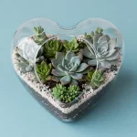 diy valentine's day gardening gifts for him