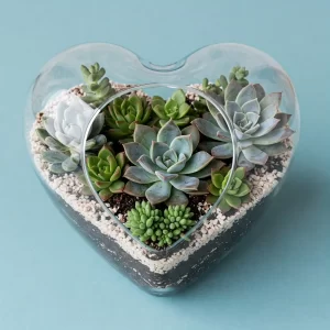 diy valentine's day gardening gifts for him