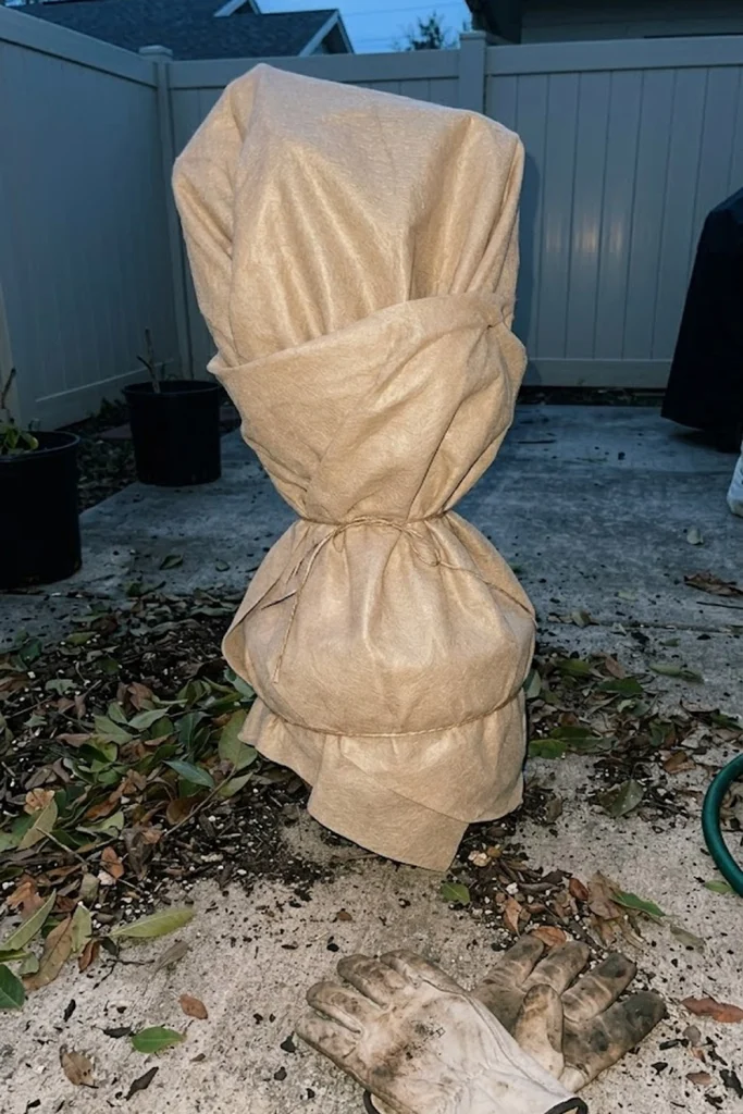 The Protection Protocol for Winter