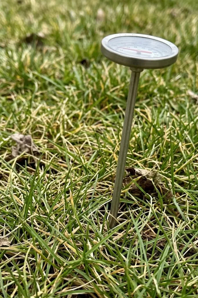 Watch the Thermometer: The 55-Degree Soil Rule