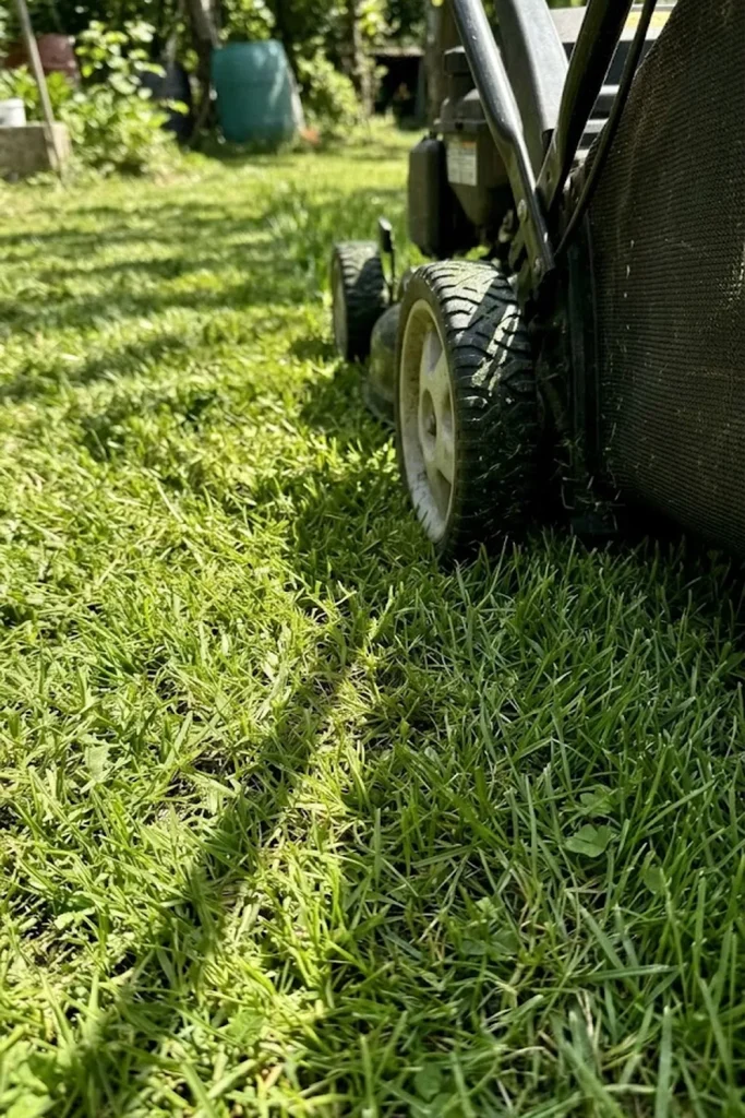 Coordinate with Your First Mow of the Year