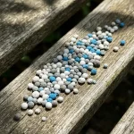 Best time to fertilize lawn in spring