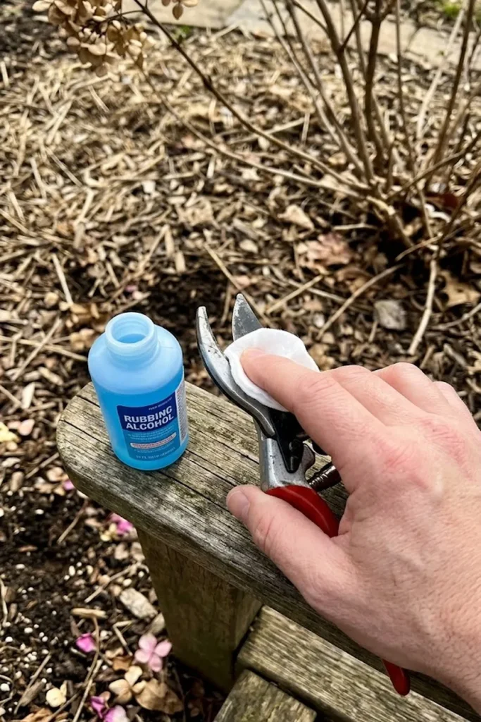 Sanitize Your Tools for Disease Prevention