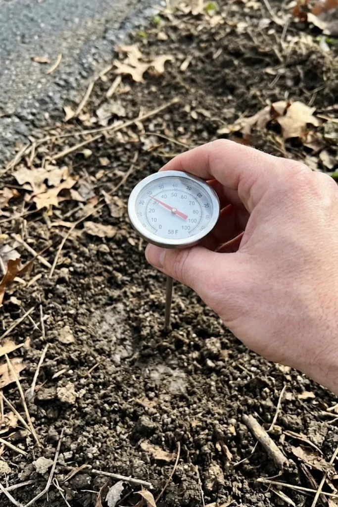 time when to plant grass seed in spring