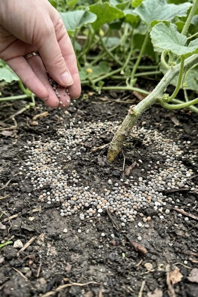 High-Efficiency Fertilizing Schedule