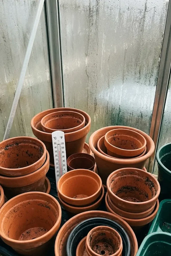 Grow a Tropical Microclimate in Your Own Backyard