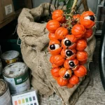Guarana Fruits