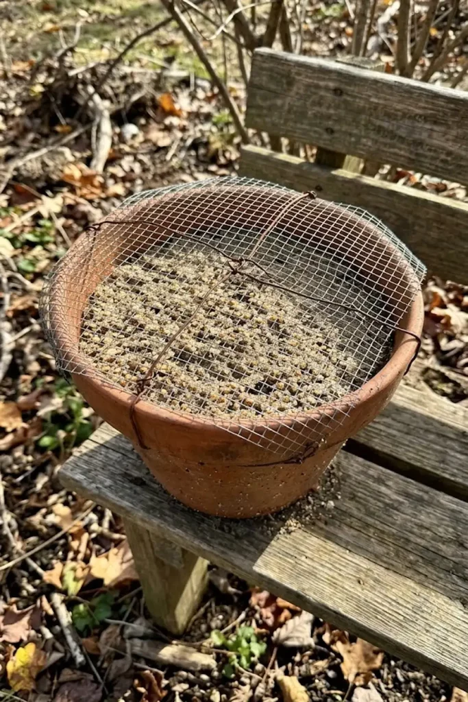 Master the 18-Month Stratification if Starting from Seed