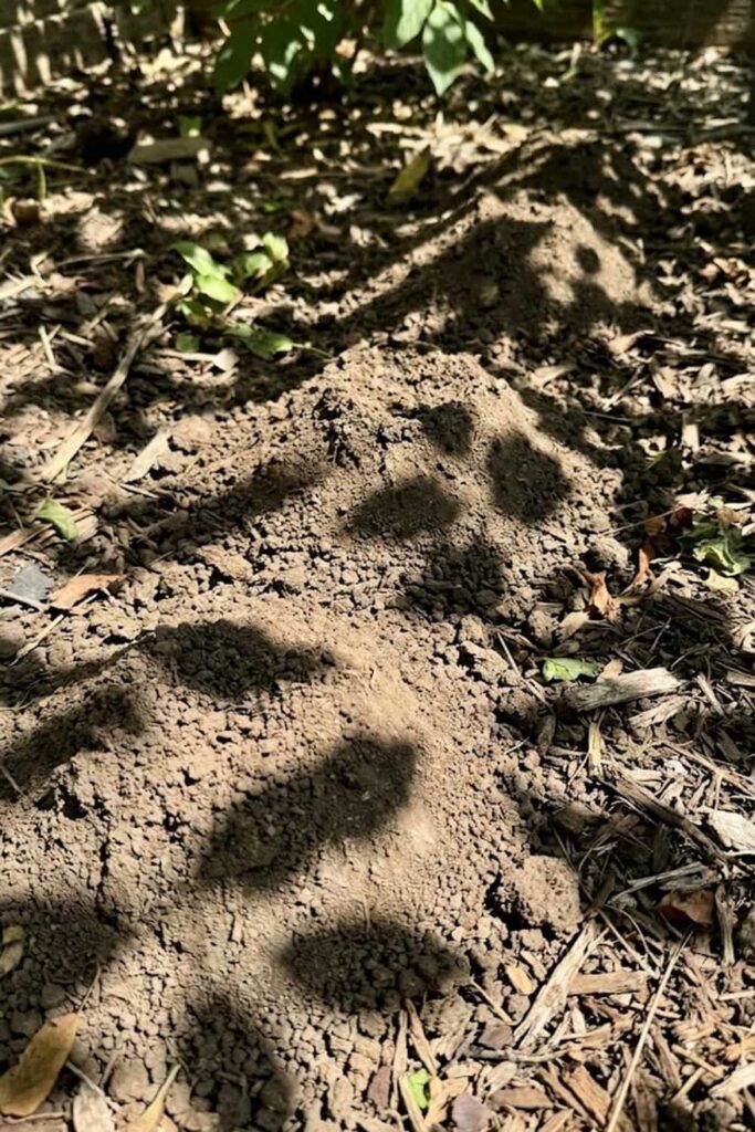 Master the Mound Method for Superior Drainage