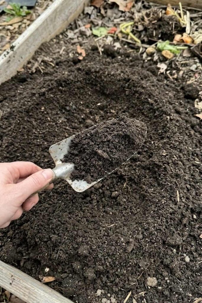Select the Best Soil Mix for Superior Drainage
