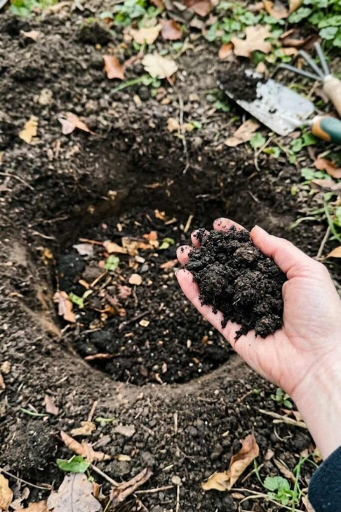Preparing the Perfect Soil Mix for Deep Roots