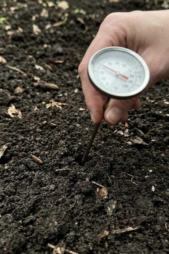 Monitor Soil Temperature Before Outdoor Planting