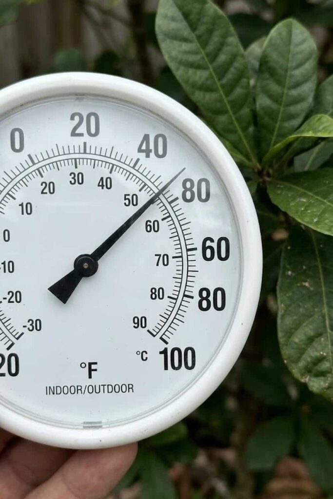 Temperature Control for Year-Round Growth
