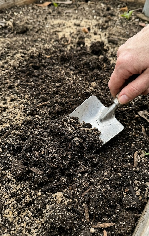 Master the Soil Mix for Rapid Root Development