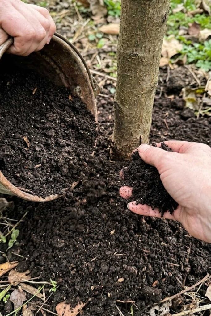 Compost Integration for Organic Care