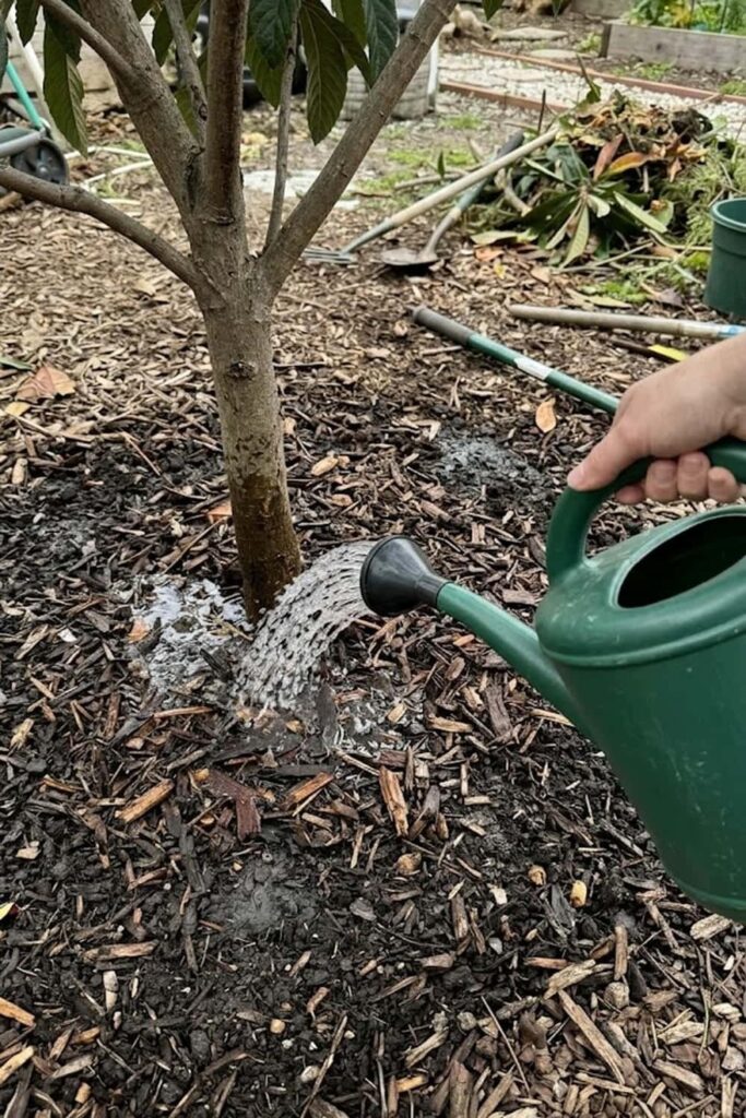 Execute Deep Watering During Bloom Cycles