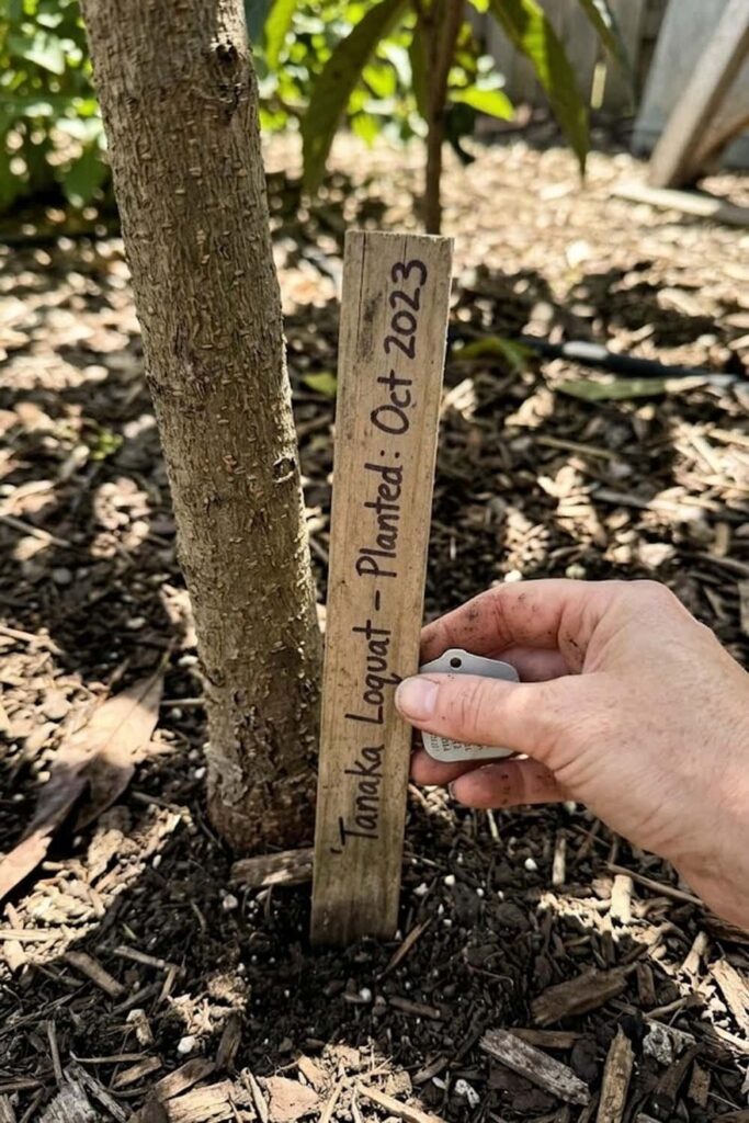 Labeling and Monitoring Growth Milestones