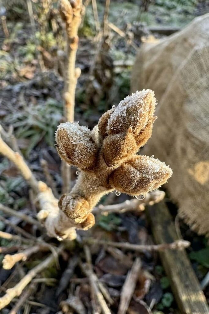 Manage Winter Humidity and Temperature